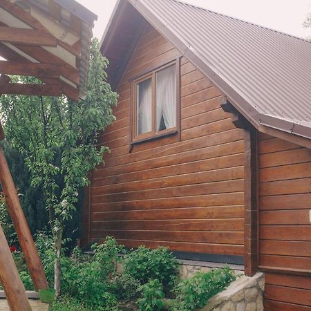 Будиночок В Карпатах Jaremcse Kültér fotó
