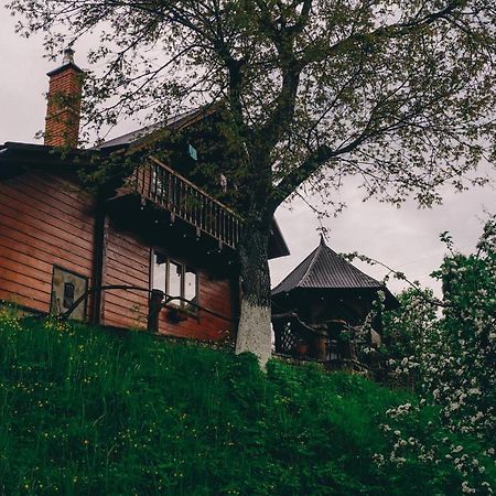 Будиночок В Карпатах Jaremcse Kültér fotó