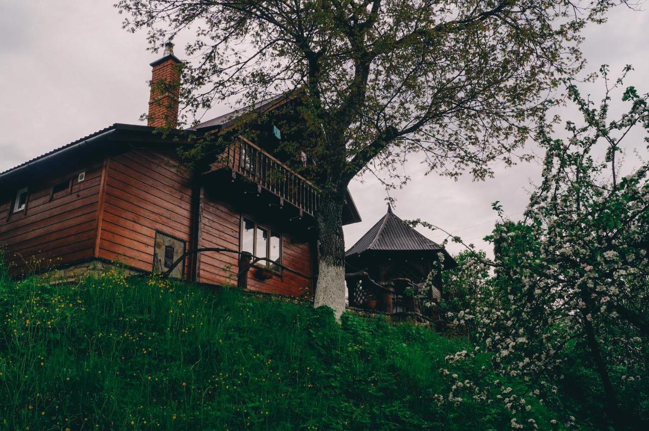 Будиночок В Карпатах Jaremcse Kültér fotó